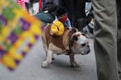 Mystic-Krewe-of-Barkus-2012-0173