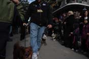 Mystic-Krewe-of-Barkus-2012-0183