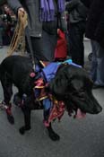 Mystic-Krewe-of-Barkus-2012-0184