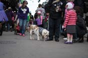 Mystic-Krewe-of-Barkus-2012-0191