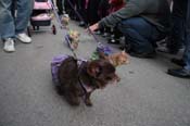 Mystic-Krewe-of-Barkus-2012-0193