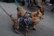 Mystic-Krewe-of-Barkus-2012-0195