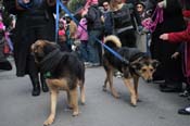 Mystic-Krewe-of-Barkus-2012-0198