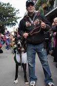 Mystic-Krewe-of-Barkus-2012-0201