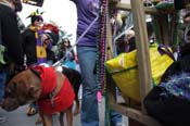 Mystic-Krewe-of-Barkus-2012-0203