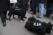 Mystic-Krewe-of-Barkus-2012-0206