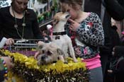 Mystic-Krewe-of-Barkus-2012-0208