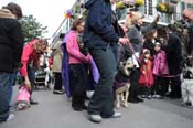 Mystic-Krewe-of-Barkus-2012-0212