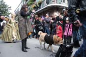 Mystic-Krewe-of-Barkus-2012-0222