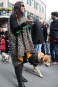 Mystic-Krewe-of-Barkus-2012-0223