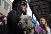 Mystic-Krewe-of-Barkus-2012-0226