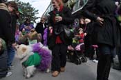 Mystic-Krewe-of-Barkus-2012-0227