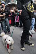 Mystic-Krewe-of-Barkus-2012-0231