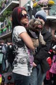 Mystic-Krewe-of-Barkus-2012-0232