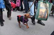 Mystic-Krewe-of-Barkus-2012-0236