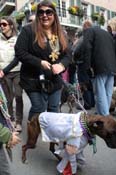 Mystic-Krewe-of-Barkus-2012-0239