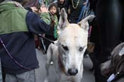 Mystic-Krewe-of-Barkus-2012-0247