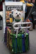 Mystic-Krewe-of-Barkus-2012-0250