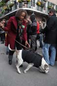 Mystic-Krewe-of-Barkus-2012-0252