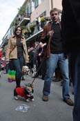 Mystic-Krewe-of-Barkus-2012-0255