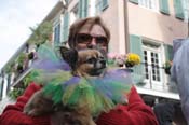 Mystic-Krewe-of-Barkus-2012-0258