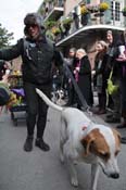 Mystic-Krewe-of-Barkus-2012-0259