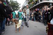 Mystic-Krewe-of-Barkus-2012-0268