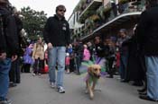 Mystic-Krewe-of-Barkus-2012-0295