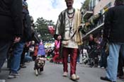 Mystic-Krewe-of-Barkus-2012-0308