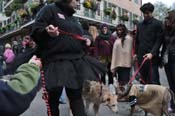 Mystic-Krewe-of-Barkus-2012-0313