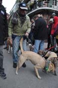 Mystic-Krewe-of-Barkus-2012-0318