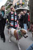 Mystic-Krewe-of-Barkus-2012-0319