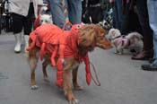 Mystic-Krewe-of-Barkus-2012-0329