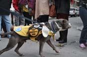 Mystic-Krewe-of-Barkus-2012-0332