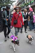 Mystic-Krewe-of-Barkus-2012-0343