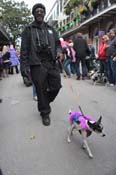 Mystic-Krewe-of-Barkus-2012-0344