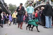 Mystic-Krewe-of-Barkus-2012-0348