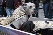 Mystic-Krewe-of-Barkus-2012-0350