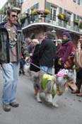 Mystic-Krewe-of-Barkus-2012-0352