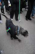 Mystic-Krewe-of-Barkus-2012-0357