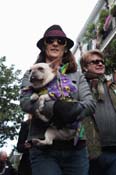 Mystic-Krewe-of-Barkus-2012-0359