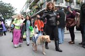 Mystic-Krewe-of-Barkus-2012-0363