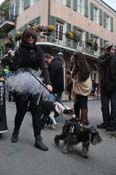 Mystic-Krewe-of-Barkus-2012-0367