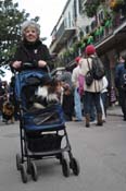 Mystic-Krewe-of-Barkus-2012-0368