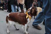 Mystic-Krewe-of-Barkus-2012-0372