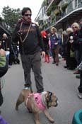 Mystic-Krewe-of-Barkus-2012-0375