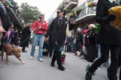 Mystic-Krewe-of-Barkus-2012-0383