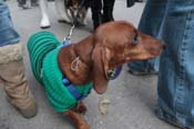 Mystic-Krewe-of-Barkus-2012-0384