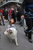 Mystic-Krewe-of-Barkus-2012-0398