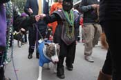 Mystic-Krewe-of-Barkus-2012-0402